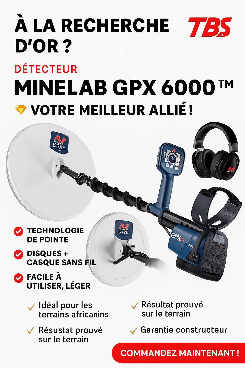 Minelab GPX 6000